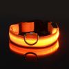 Glow-In-The-Dark Pet Collar For Dog & Cat; LED Dog Collar For Night Walking; USB charging