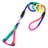 1 Set Nylon Rainbow Pet Dog Collar Harness Leash Soft Walking Harness Lead Colorful and Durable Traction Rope 120cm